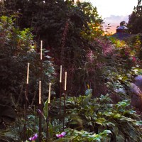 Trädgårdsbelysning Straw